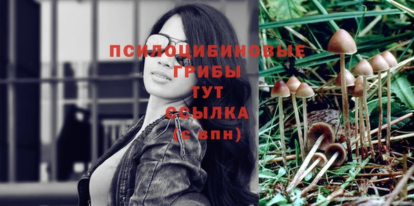круглые Дмитровск