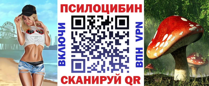 Галлюциногенные грибы Psilocybine cubensis  Купить где  Нижняя Салда 